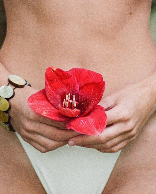 wxPVe3Kb o97e8bd9047d0c579