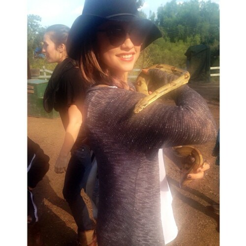 yvettemonreal 40733759 337277683684585 7901909770670440448 n