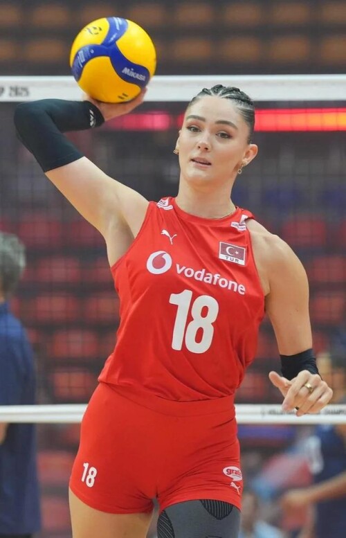 zehra gunes v0 4tbd3waolbnf1b74daa952daa02f9