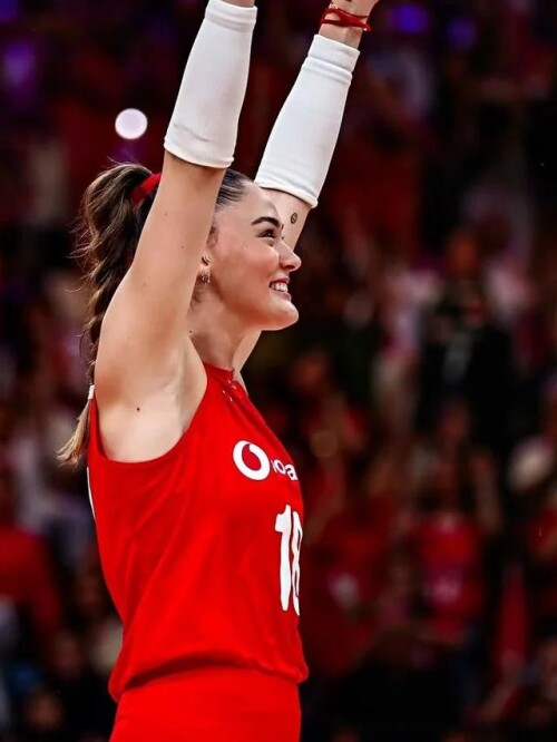 zehra gunes v0 5b8nq0b245nf1b68e1c02971d161c