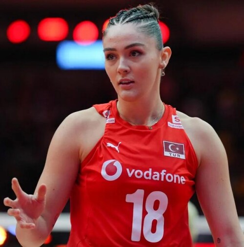 zehra gunes v0 qadbt4ynlbnf1e29d54a8164edbee