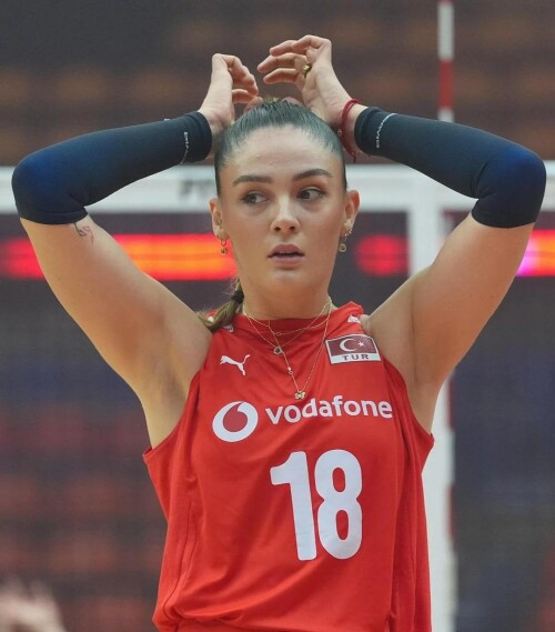 zehra gunes v0 td3zuejolbnf1a3eaff3494993531