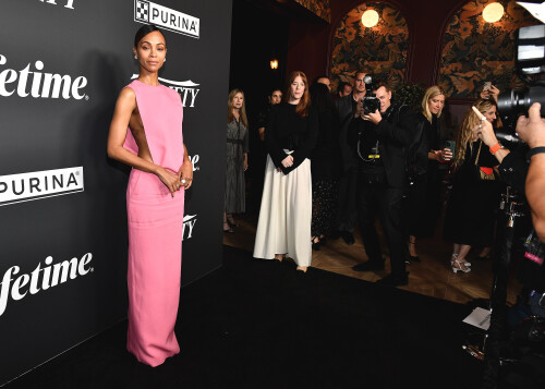 zoe7bd57d554bb0d5958